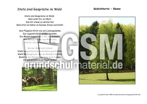 Stets sind Gespräche im Wald-Dauthendey.pdf